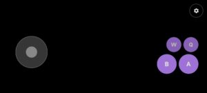 1000055082